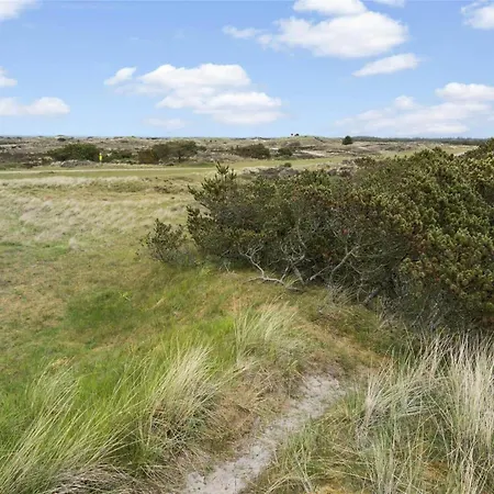 Bv151-blavand-hedetoftvej-116 Holiday home *