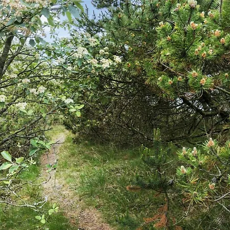 Bv151-blavand-hedetoftvej-116 펜션 Blåvand