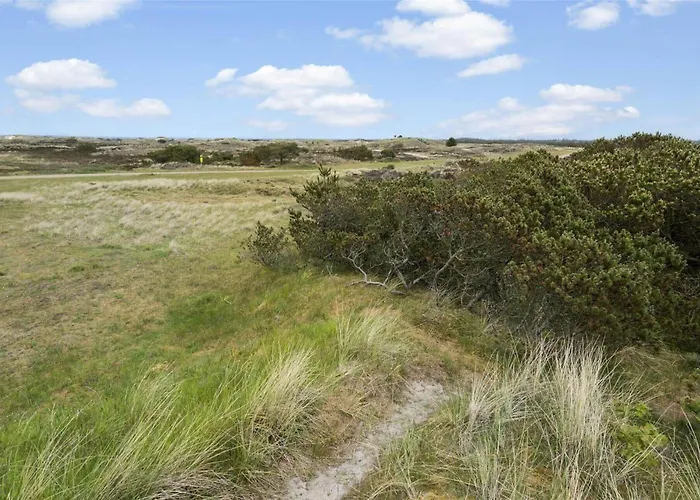 Bv151-blavand-hedetoftvej-116 Holiday home *