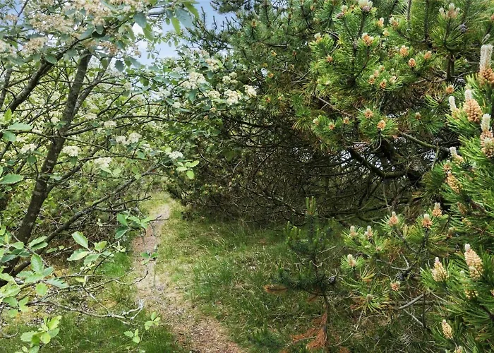 Holiday home Bv151-blavand-hedetoftvej-116 Blavand